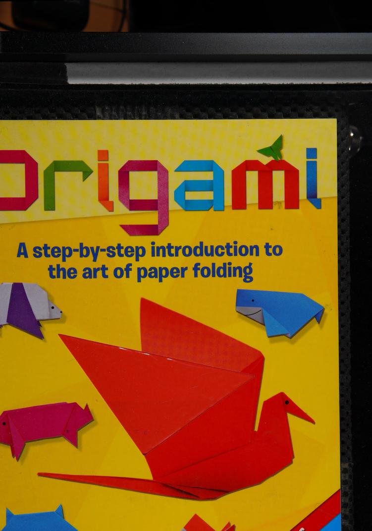 Origami book: A Step-by-Step Introduction to the Art of Paper